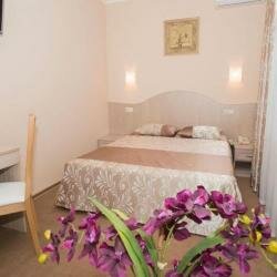 Гостиница Владимирская Сергиев Посад-115