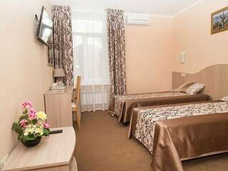 Гостиница Владимирская Сергиев Посад Двухместный номер с 2 отдельными кроватями-5