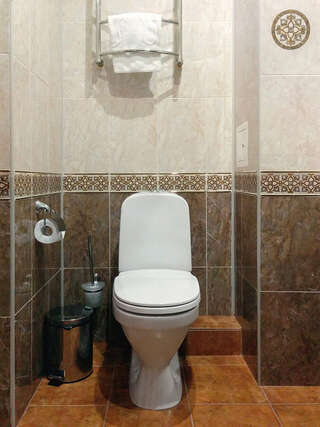 Гостиница Владимирская Сергиев Посад Полулюкс-8